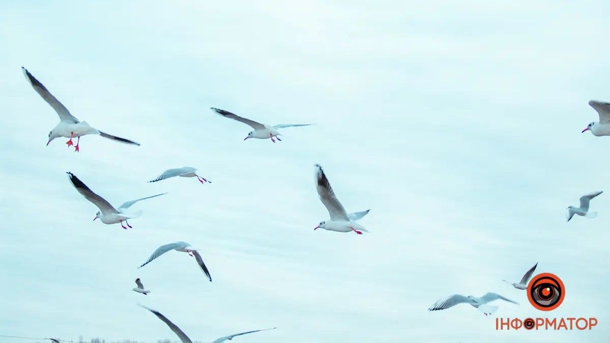 Погода на 20 января: в Днепре будет переменная облачность