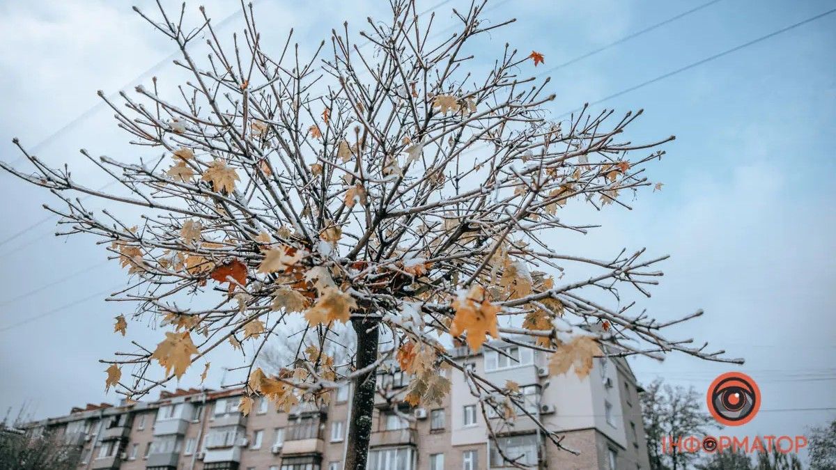 Погода на 31 січня: у Дніпрі буде сильна хмарність