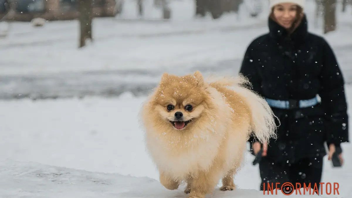 Погода на 6 февраля: в Днепре будет пасмурный день и снежная ночь