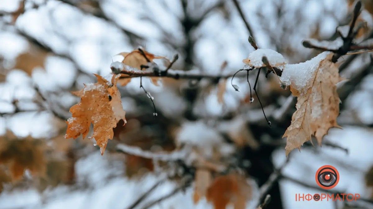 Погода на 16 февраля: в Днепре будет сильная облачность