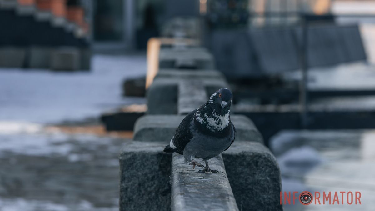 В Днепре будет снег с дождем: прогноз погоды на 18 февраля