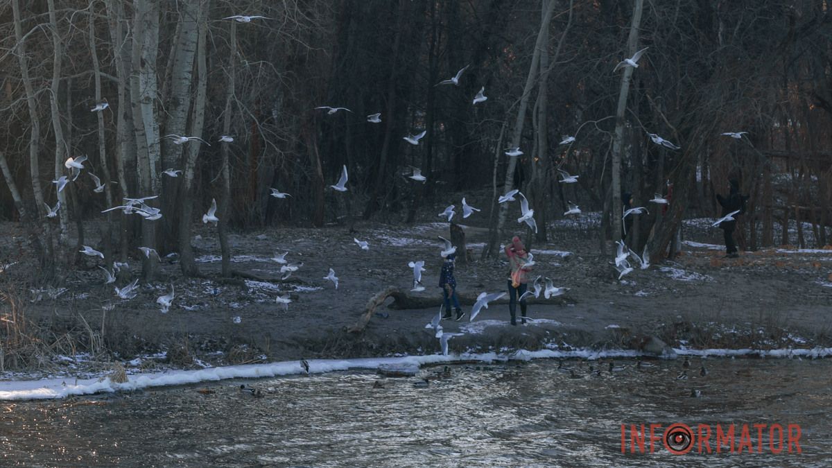Слабка хмарність та без опадів: погода у Дніпрі на 23 лютого