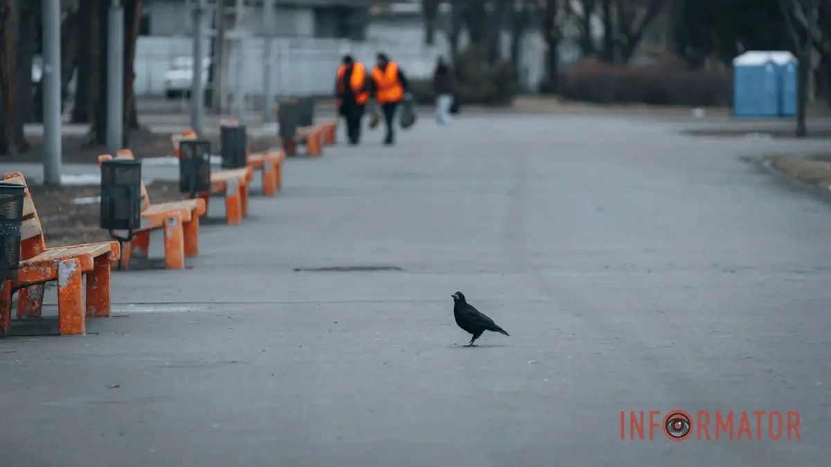 Погода на 24 лютого: у Дніпрі буде хмарно