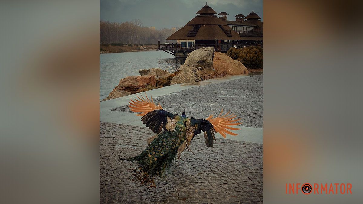 Если бы у Днепра был Instagram: подборка живописных фотографий города