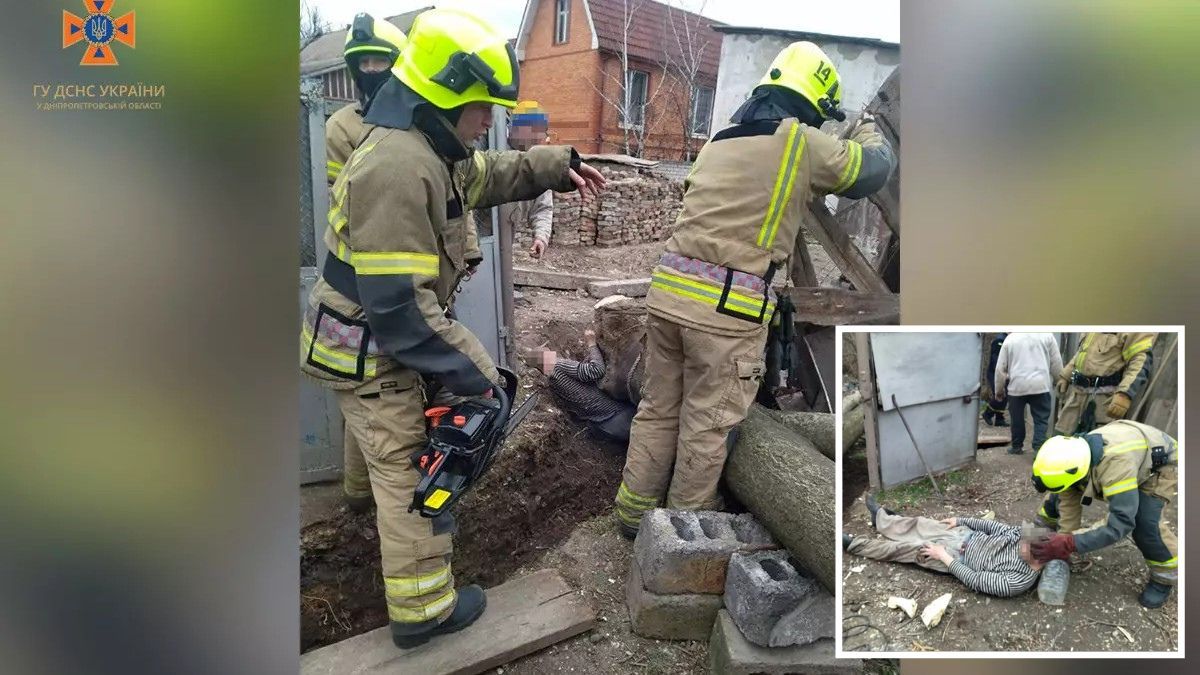 В Кривом Роге мужчину придавило деревом