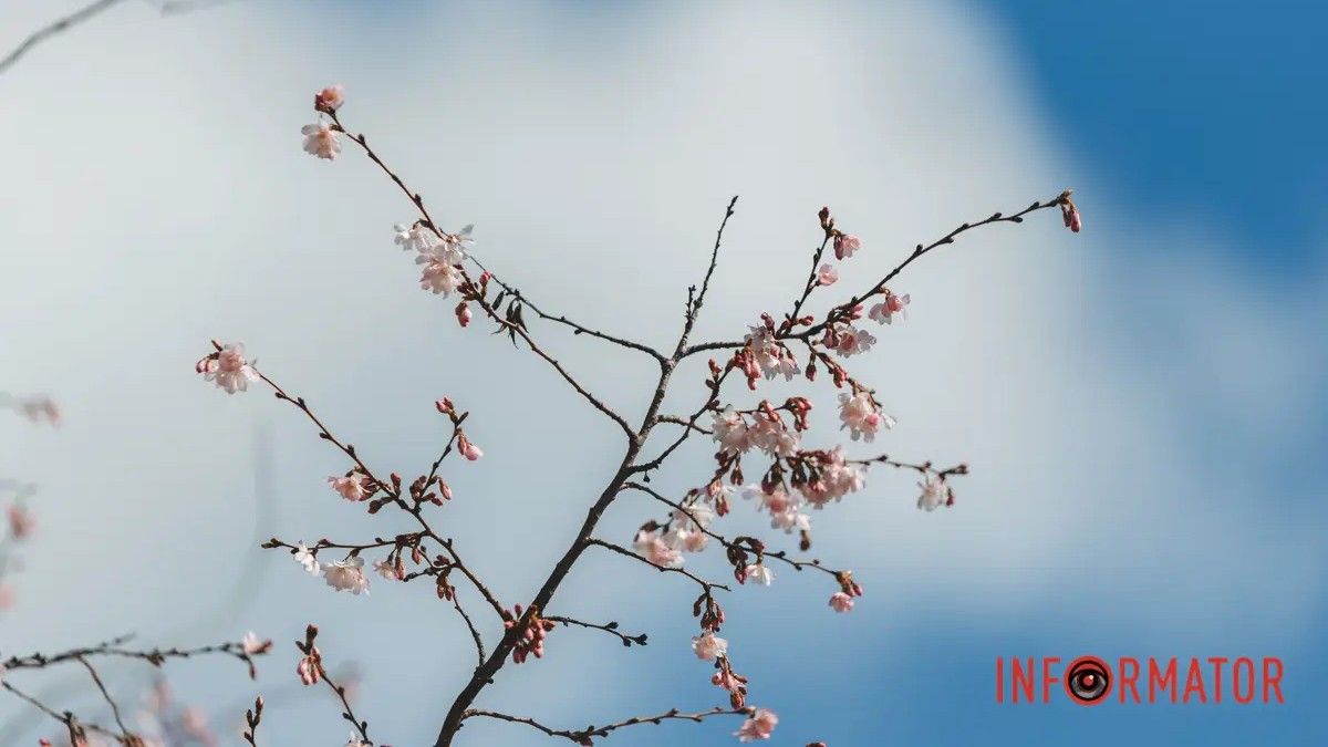 Погода на 29 березня: у Дніпрі буде сильна хмарність