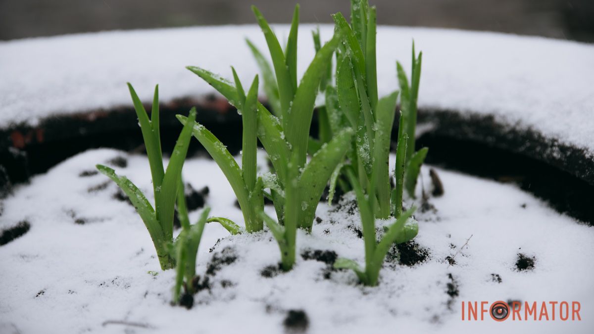 Увесь день буде хмарно: прогноз погоди у Дніпрі на 30 березня