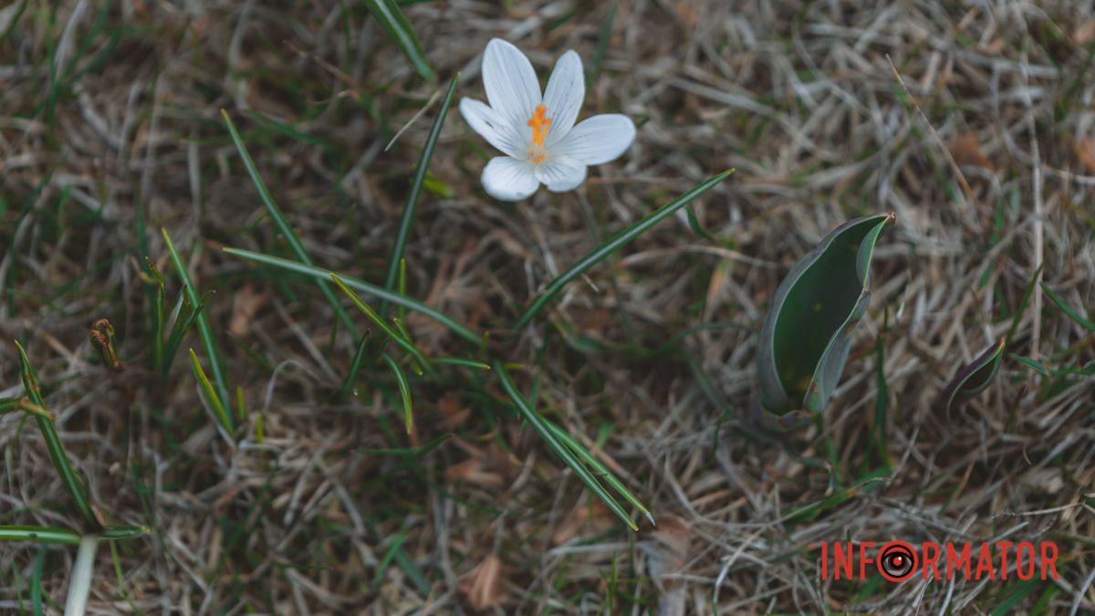 У Дніпрі буде хмарно та дощитиме: прогноз погоди на 3 квітня