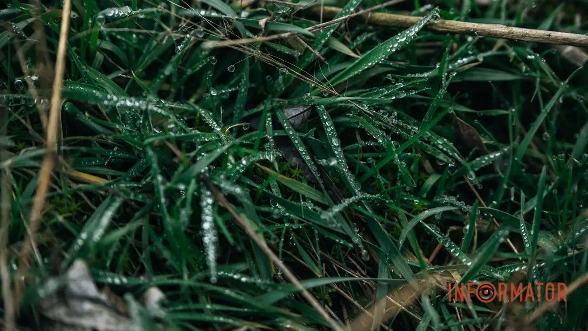 В Днепре целый день будет дождливо: прогноз погоды на 7 апреля