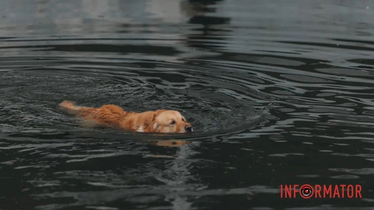 Погода на 8 апреля: в Днепре ожидается дождь