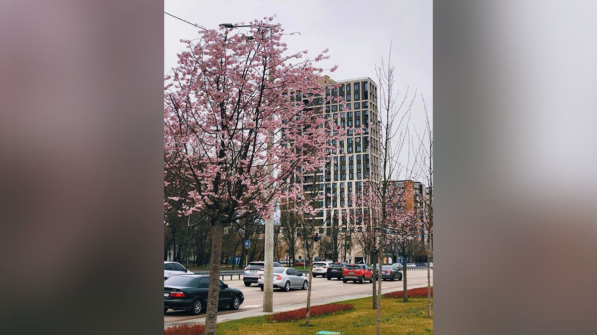 Если бы у Днепра был Instagram: подборка весеннего и дождливого города