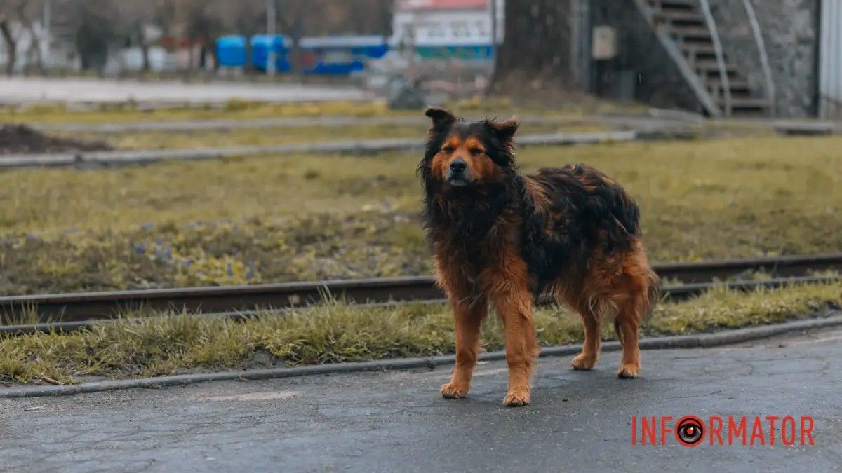 Погода на 14 квітня: у Дніпрі буде дощ