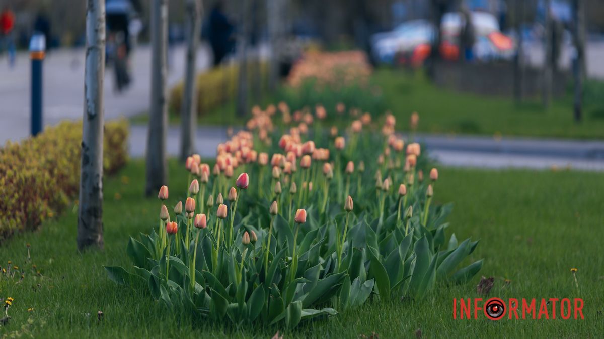 У Дніпрі буде ясно вранці, в день можливий дощ: прогноз погоди на 18 квітня