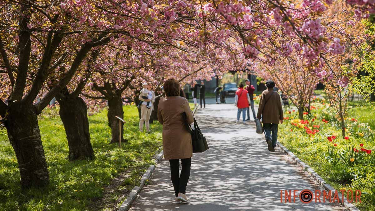В Днепре будет ясно: прогноз погоды на 3 мая