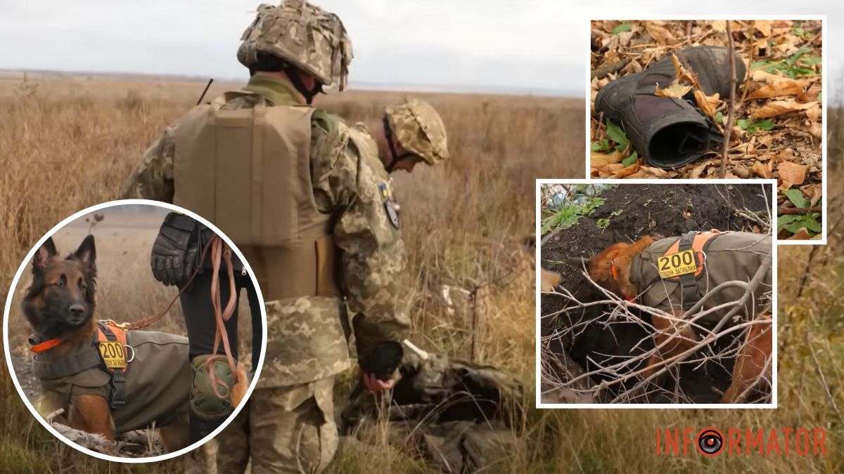 Попри біль та постійний ризик: як кінологи допомагають розшукувати тіла полеглих Героїв