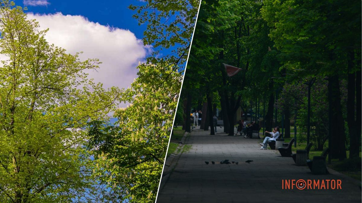 У Дніпрі зранку буде ясно, вдень — хмарно: прогноз погоди на 15 травня