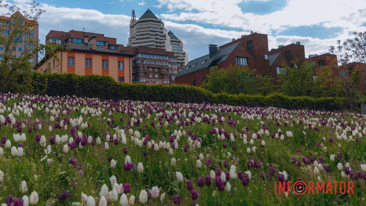 Погода на 17 травня: у Дніпрі буде хмарно з проясненнями