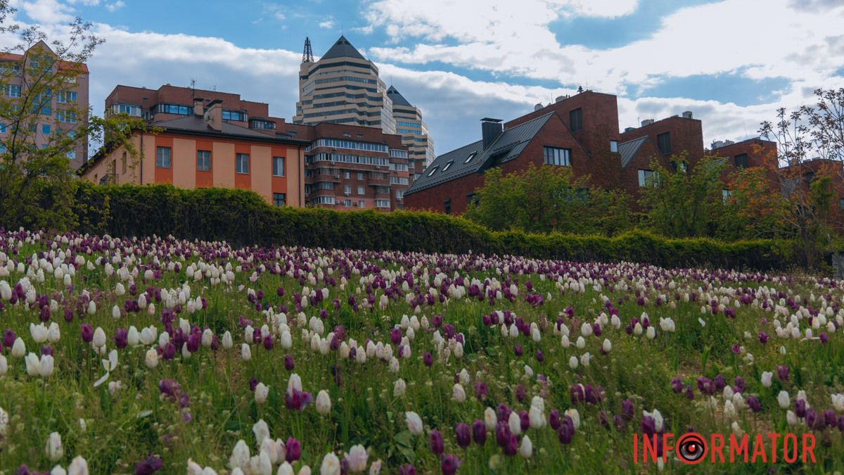 До +24 на термометрі: у Дніпрі буде тепло та сонячно