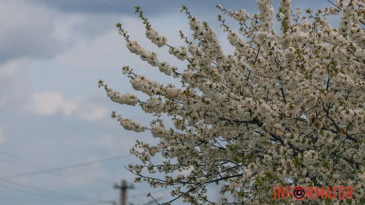 Погода на 19 мая: в Днепре будет слабая облачность