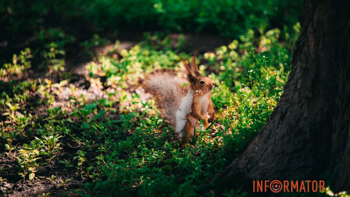 В Днепре будет солнечно и жарко: прогноз погоды на 19 мая