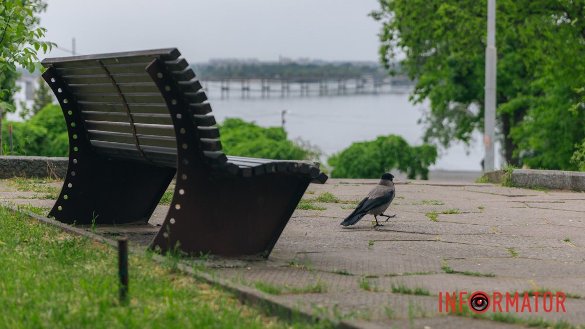 У Дніпрі весь буде хмарно, можливий дощ: прогноз погоди на 22 травня
