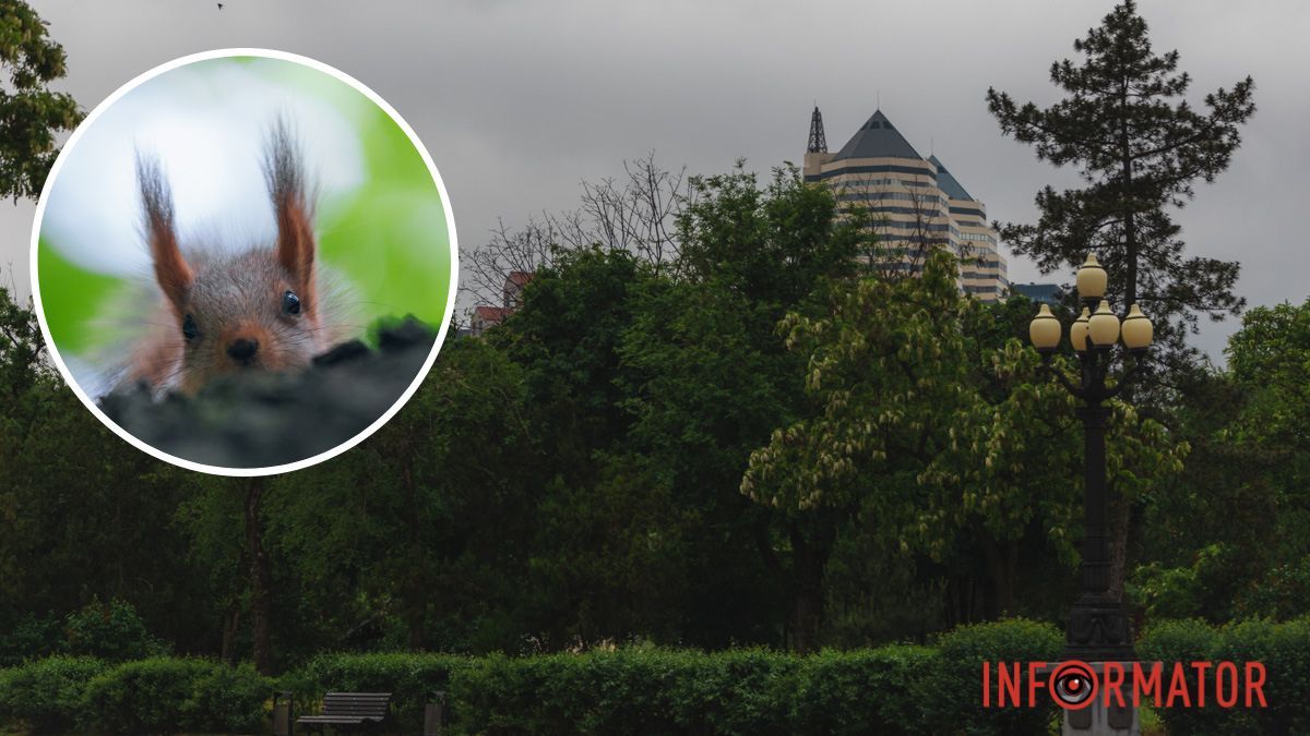 В Днепре будет облачно с прояснениями: прогноз погоды на последний день весны - 31 мая