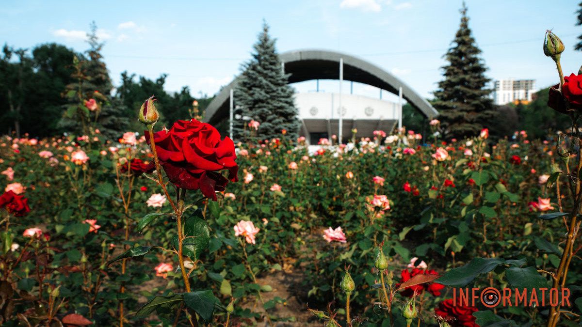 У Дніпрі весь день буде хмарно: прогноз погоди на 10 червня