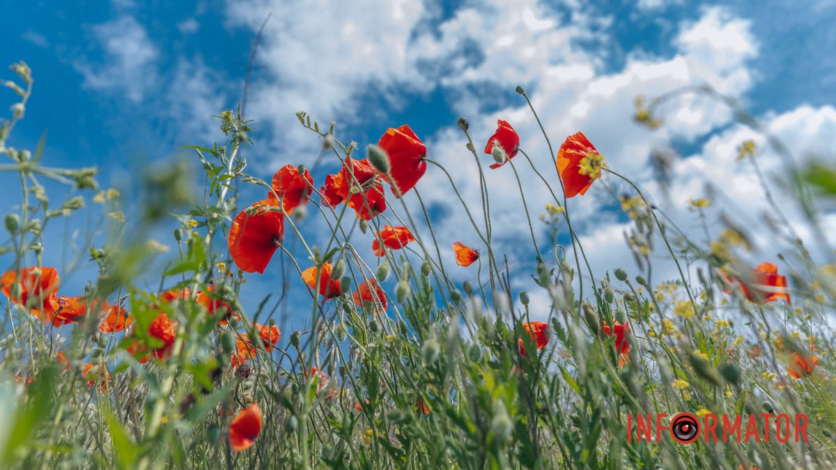Погода на 15 июня: в Днепре будет облачно