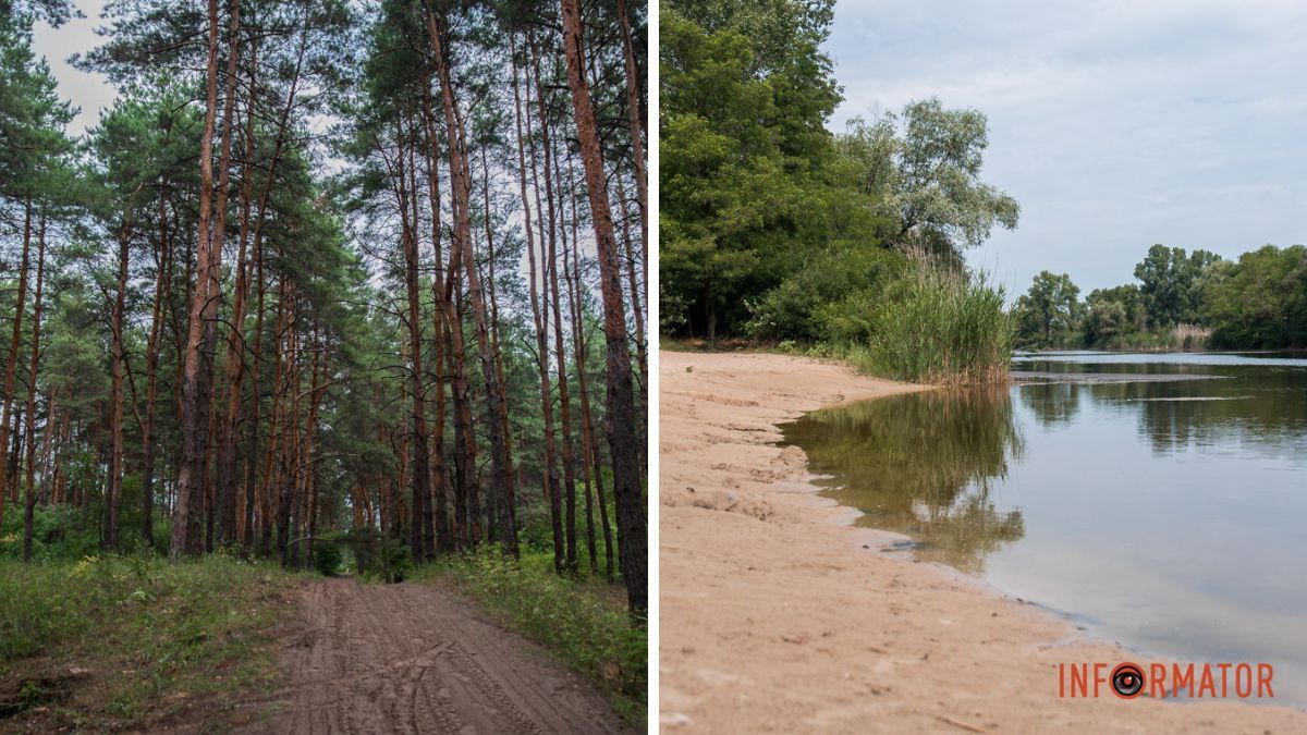 У Дніпрі заборонено відвідування лісів, однак планують створити рекреаційні зони для відпочивальників: що відомо