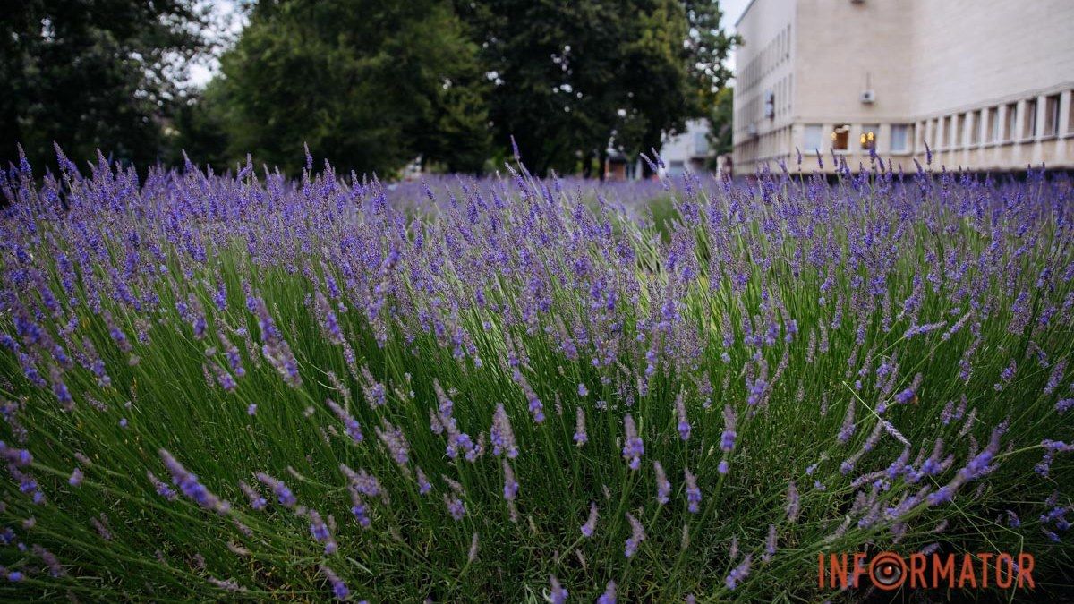 У Дніпрі буде хмарно: прогноз погоди на 3 липня