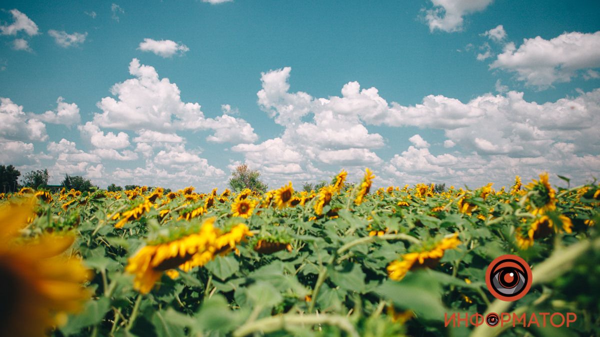 У Дніпрі буде хмарно та спекотно: прогноз погоди на 4 липня