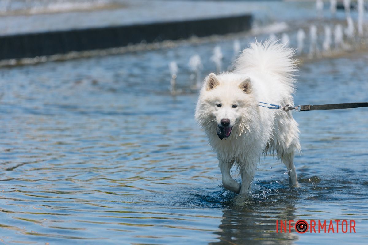 Погода на 5 июля: в Днепре будет ясно и жарко