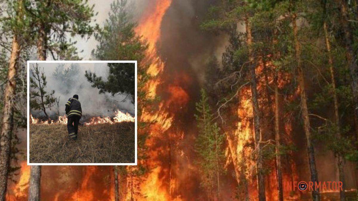 В Днепропетровской области сожжение сухостоя будет расцениваться как диверсия: что надо знать