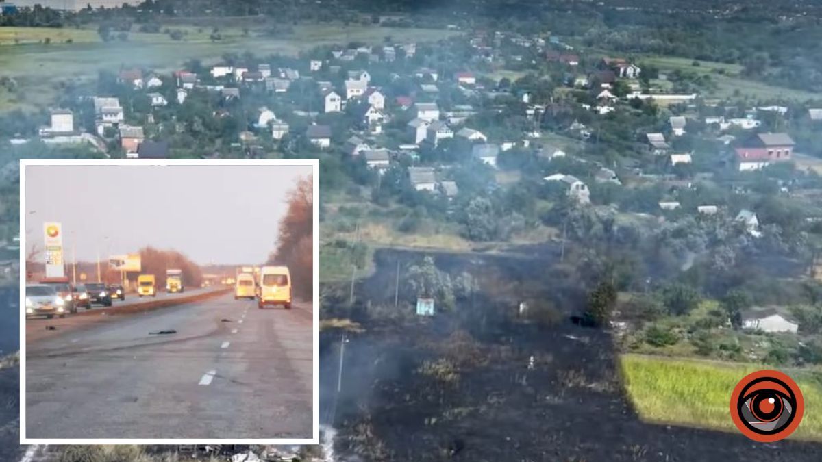 В Днепре может появиться улица Брусничная: где она будет находиться