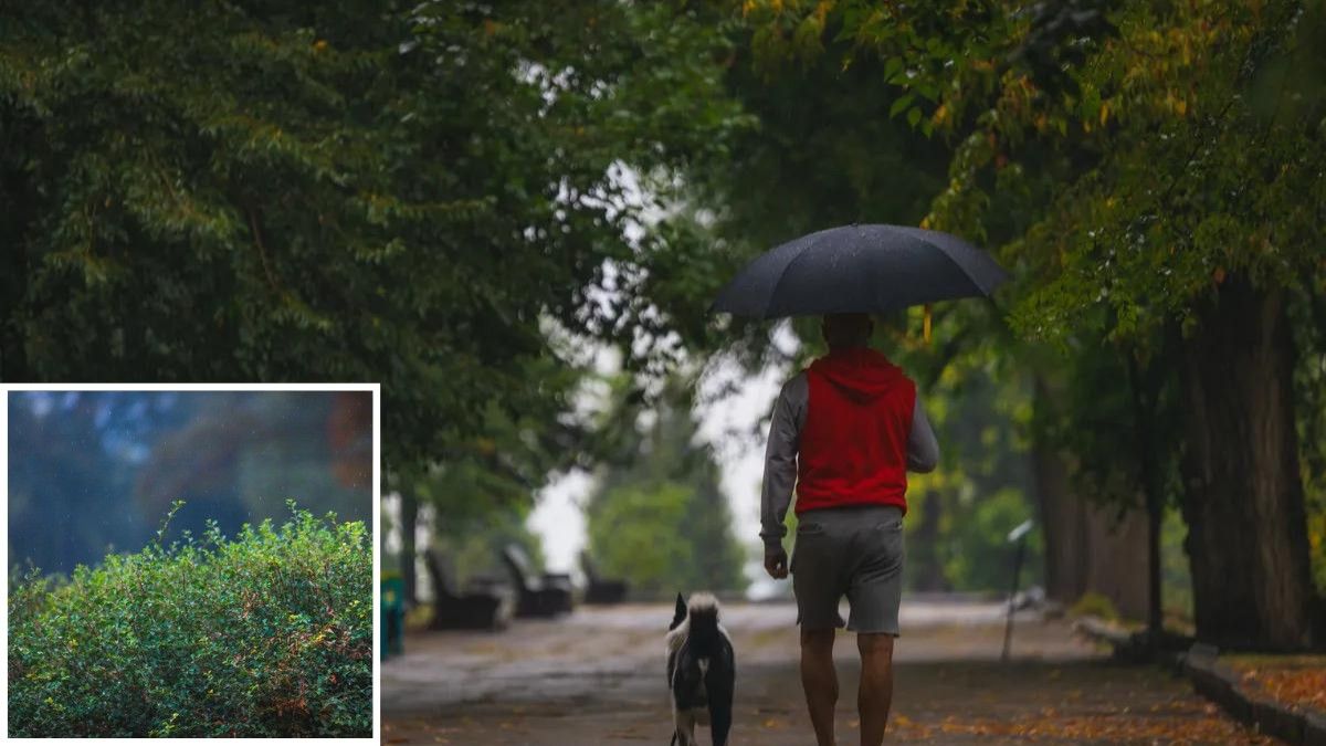 Погода на 7 жовтня: у Дніпрі буде дощ