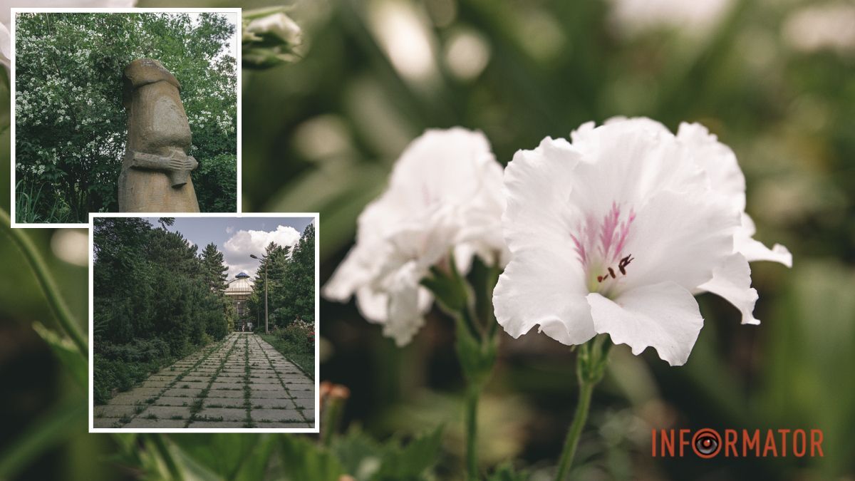 Квест, фотозони та прогулянки: ботанічний сад Дніпра відзначить 93-річчя
