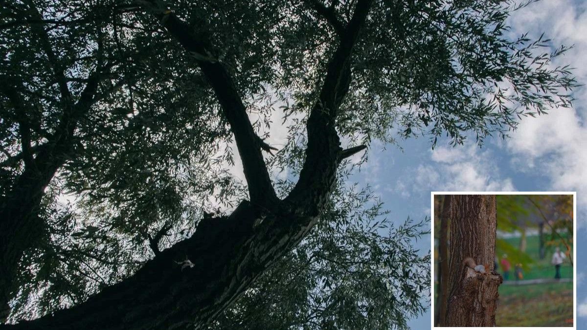 Погода на 11 жовтня: у Дніпрі буде слабка хмарність