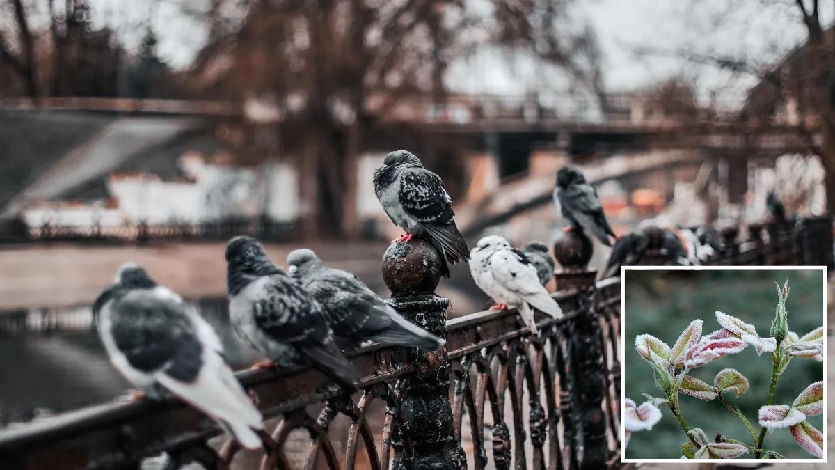 Мешканців Дніпра та області попереджають про заморозки на поверхні грунту