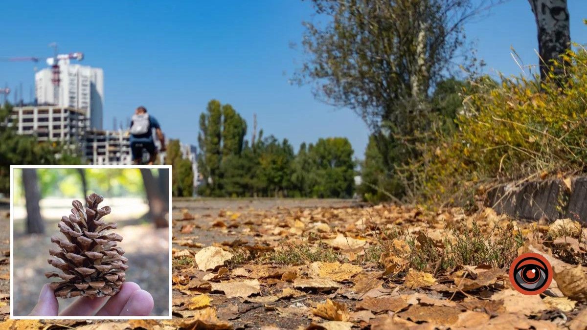 Ясно весь день: погода на 15 октября в Днепре