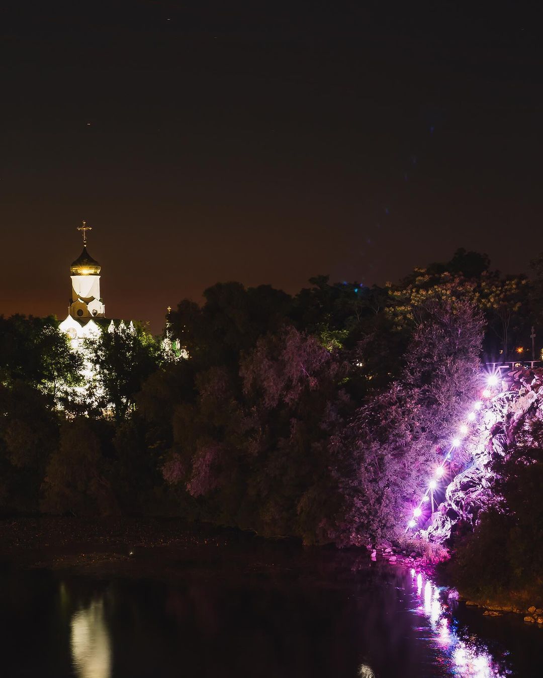 Фото: @hamster_dp_ua