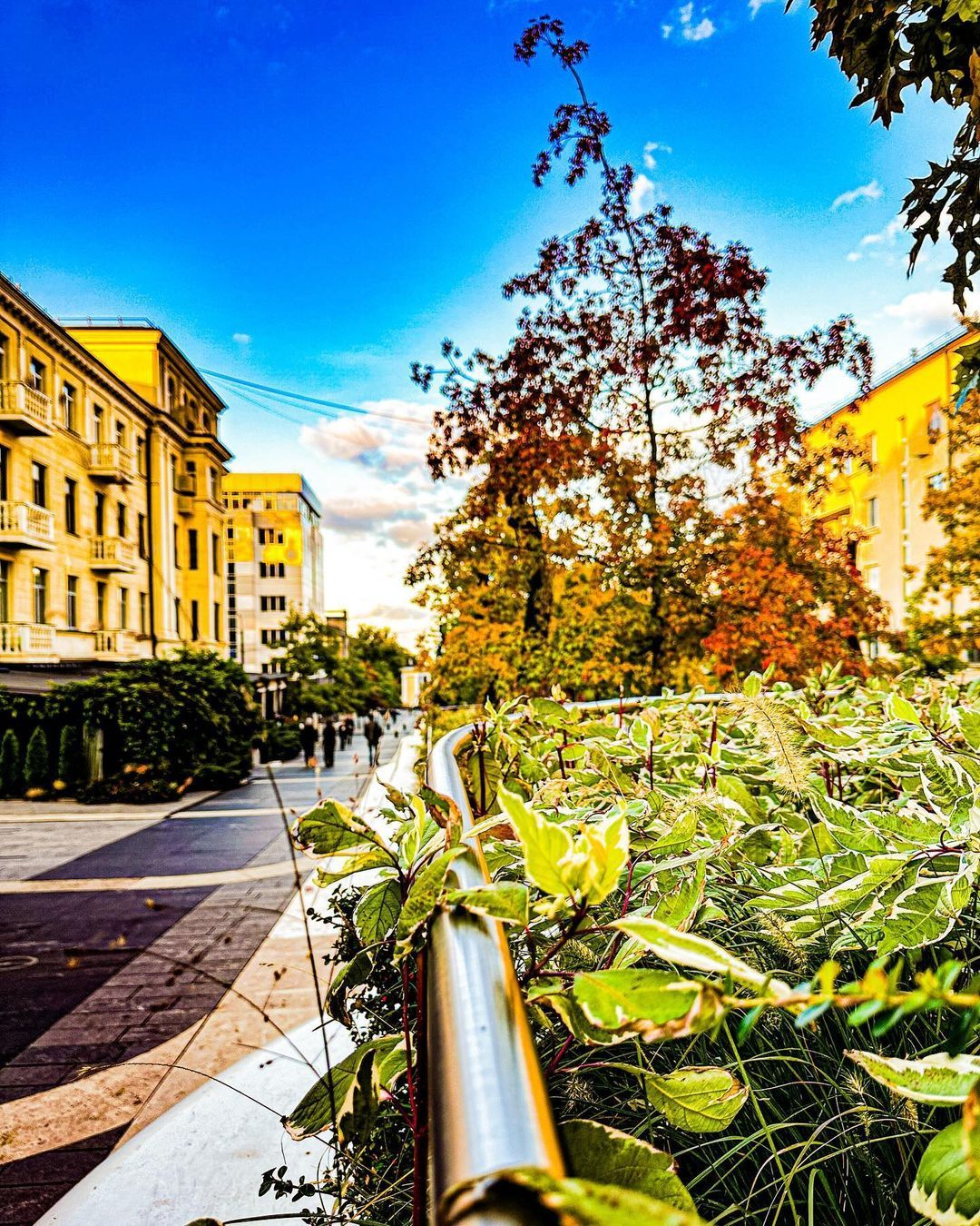 Фото: @vitaliyphoto_amauter_viking