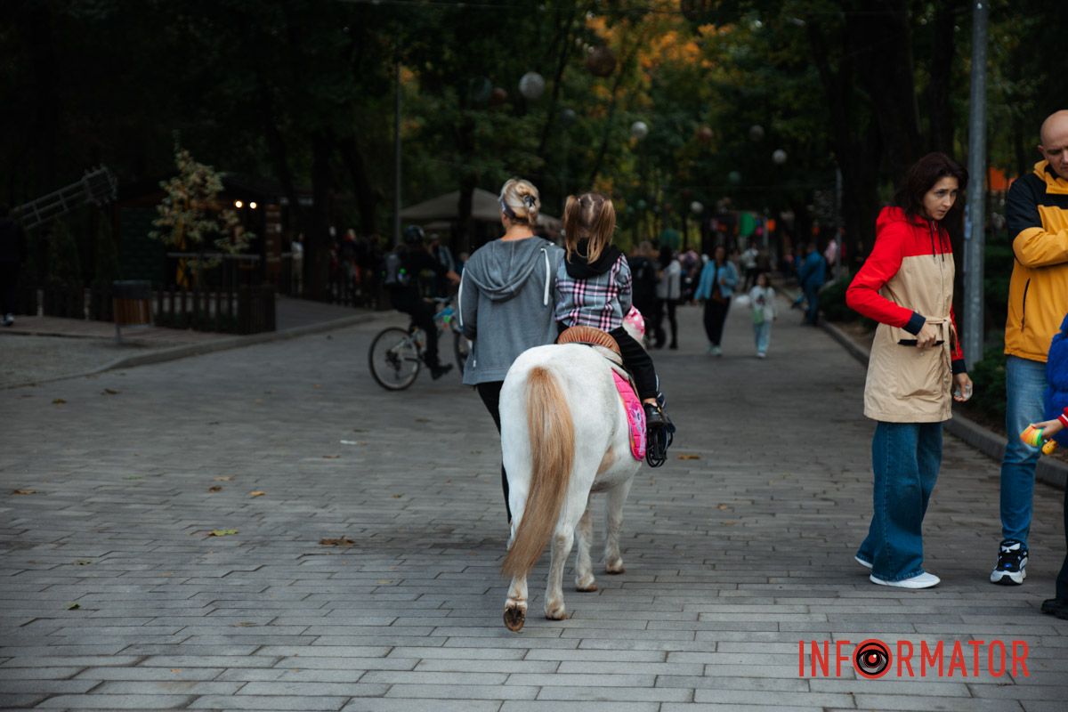 Тут також є дино-парк Тут також є дино-парк