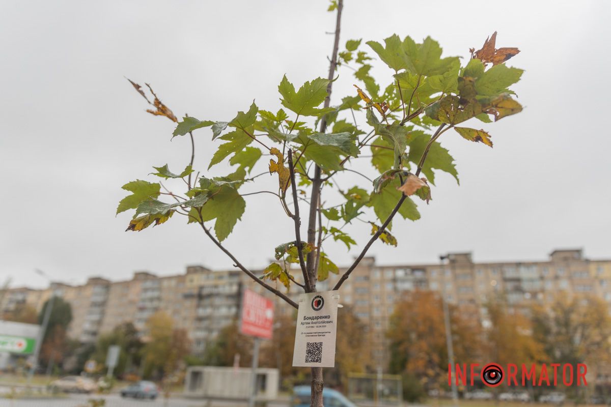 Герои умирают. Не умирает память о них Герои умирают. Не умирает память о них