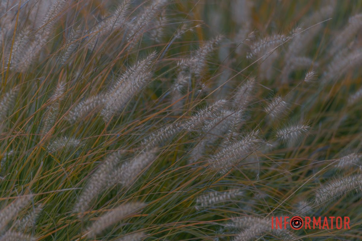 Ані докору з уст. Нам лишається довга сльота