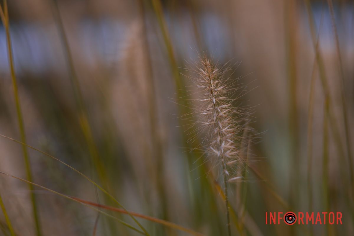 Нагулятися містом, потім піти до себе