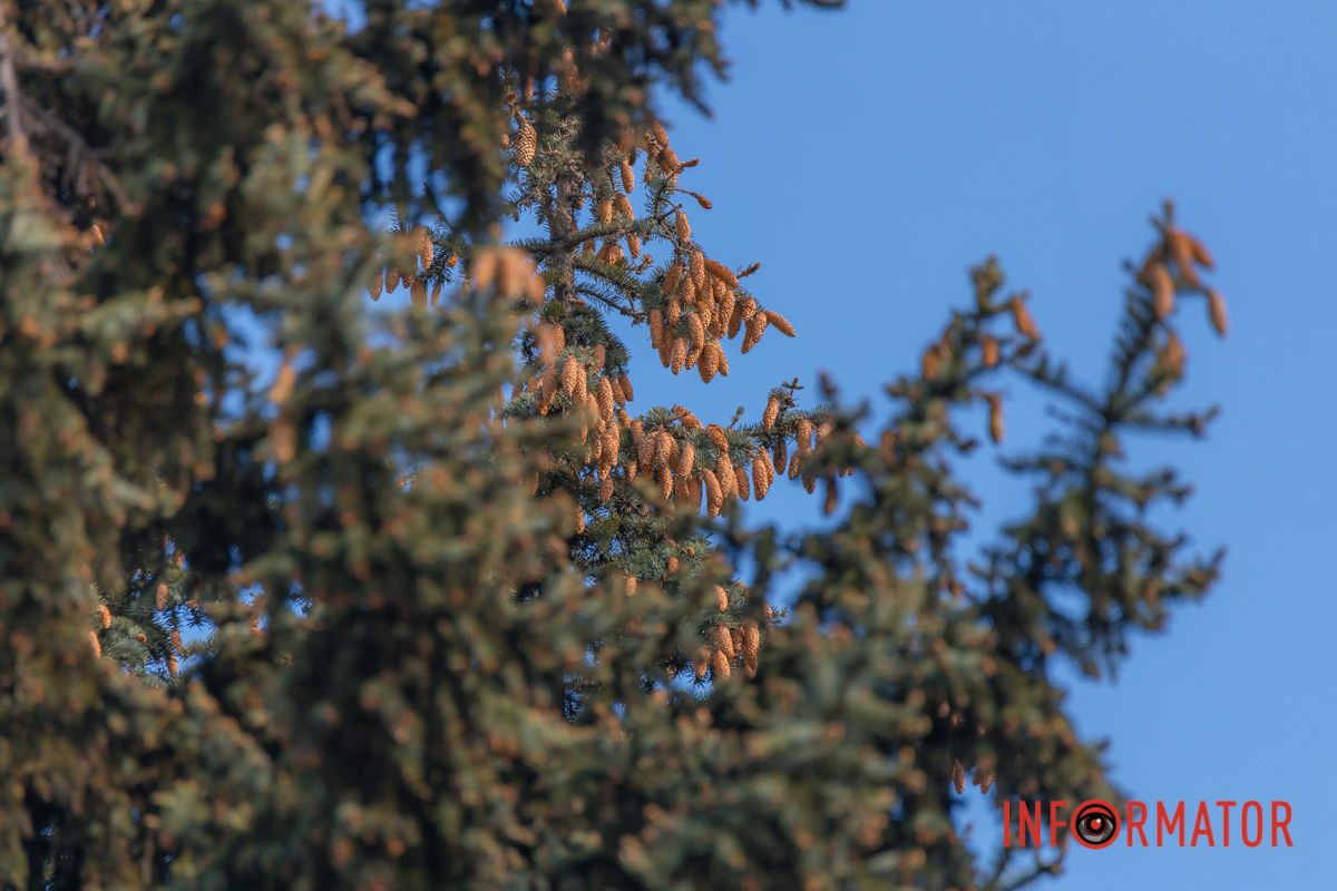 І срібно – дощево – туманова,