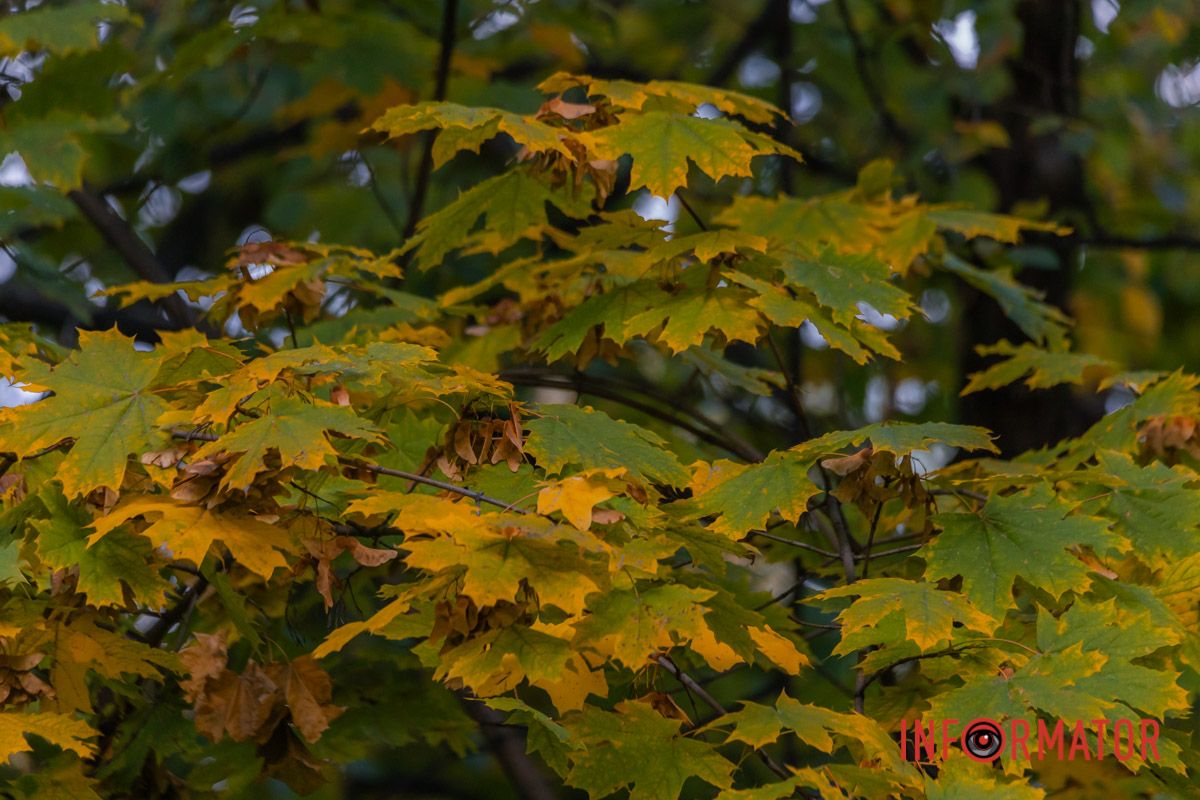 Такими піснями оспівана!