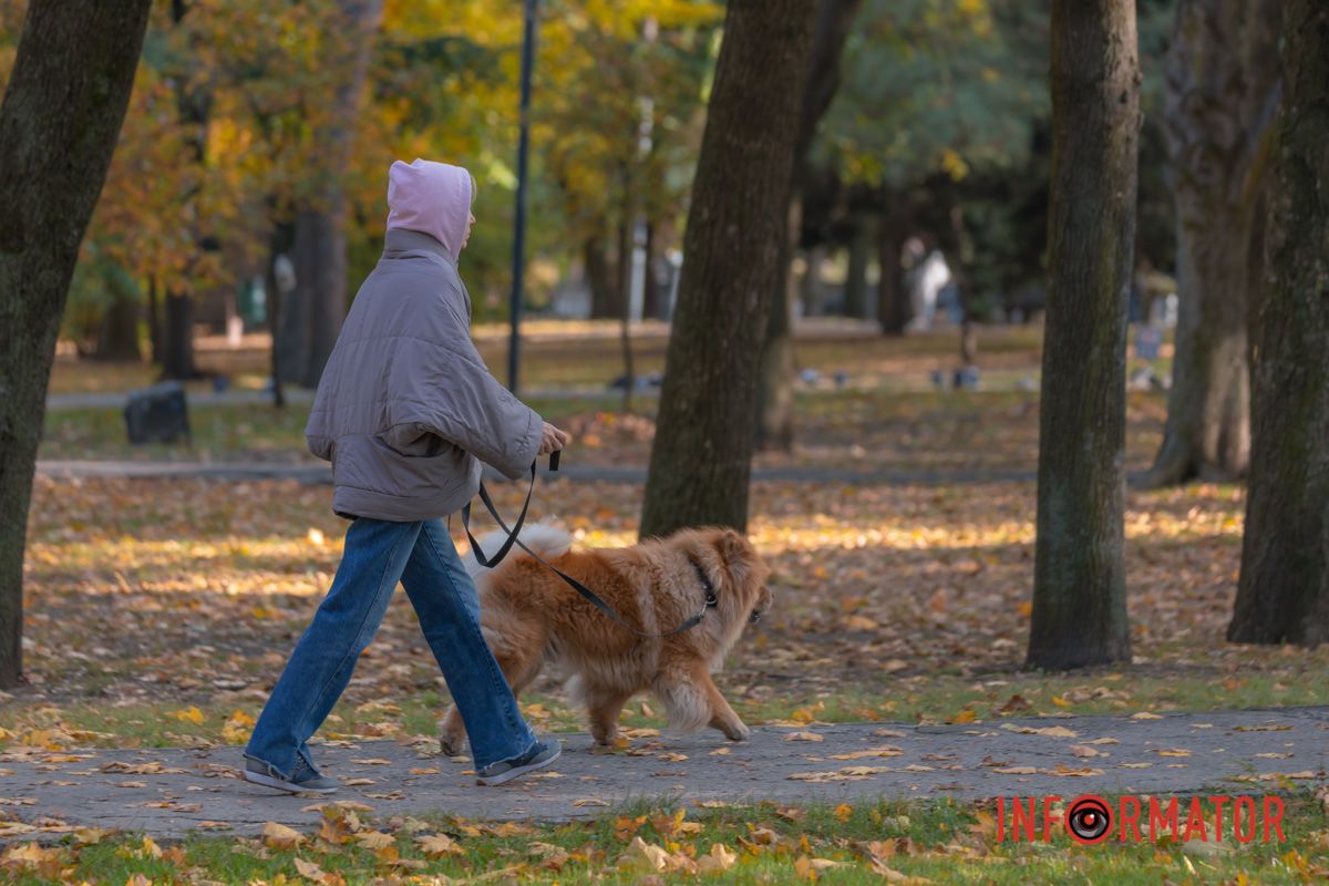 Ця осінь горить листопадами,