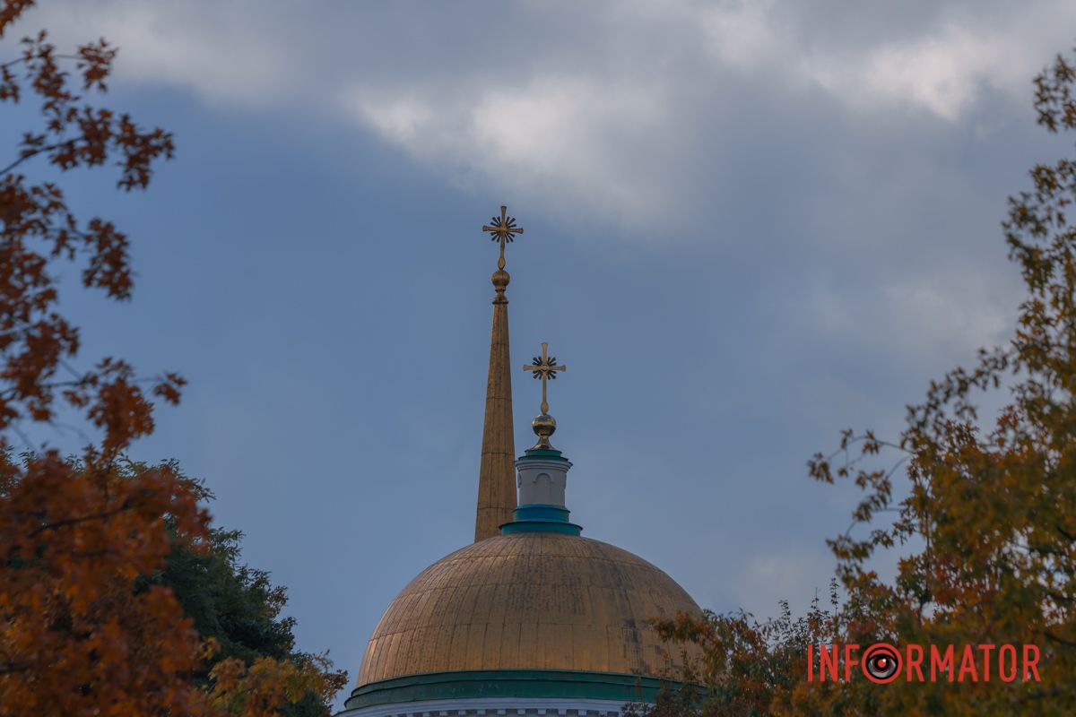 Ворони п’ють надкльовані горіхи.