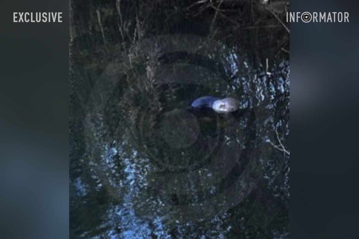 Тело нашли в воде возле карьера